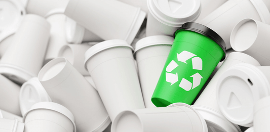 Making Earth Day More Than Just A Day