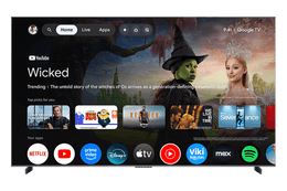 QM8L Series SQD-Mini LED 4K UHD HDR Smart TV with Google TV –